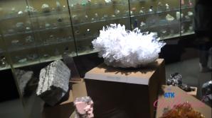 Selina Imai Museum Part 1